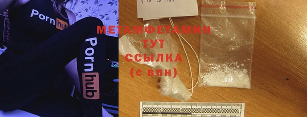 хмурый Магас