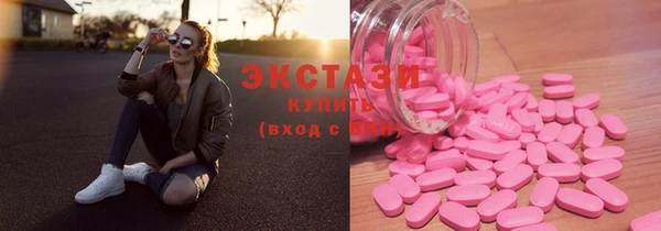 хмурый Магас