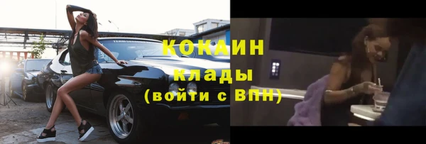 хмурый Магас