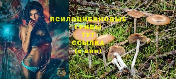 хмурый Магас
