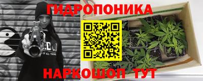 гидропоника Гусев