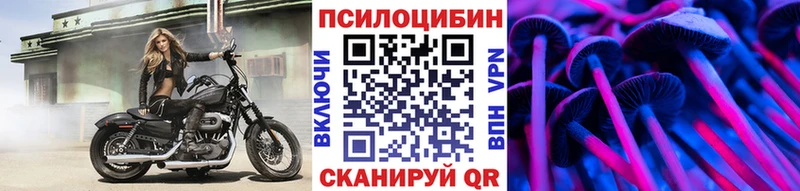 Галлюциногенные грибы GOLDEN TEACHER  Кудрово 